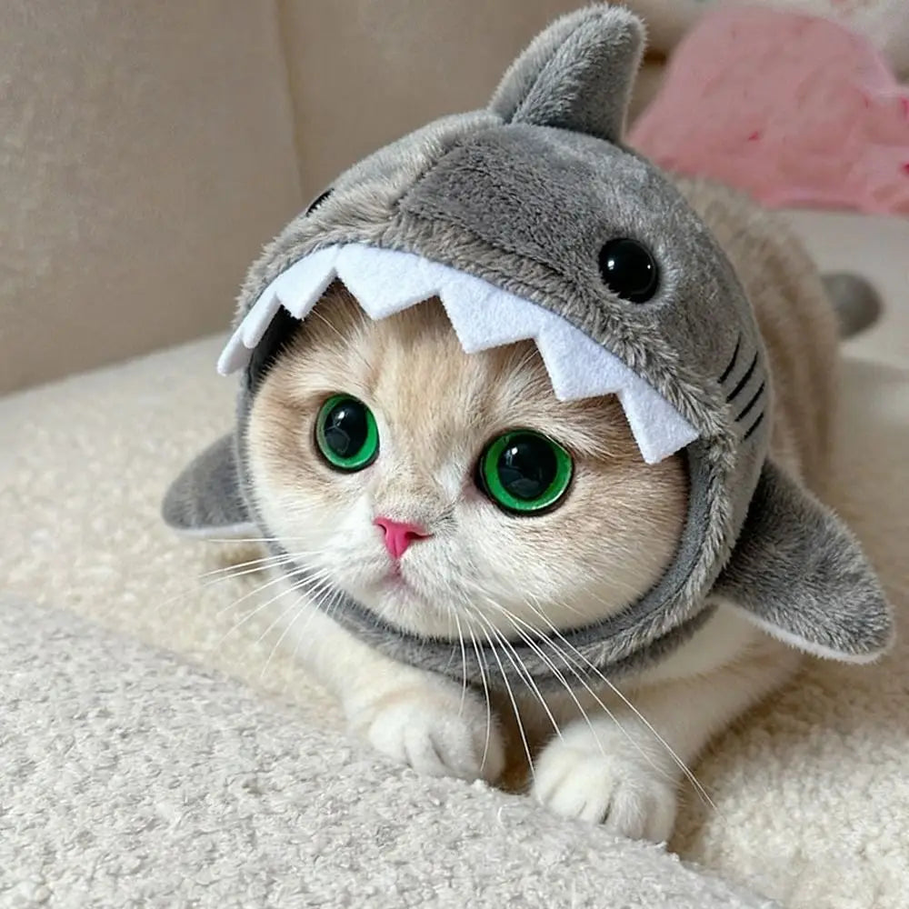 Shark Headdress Cat Costume