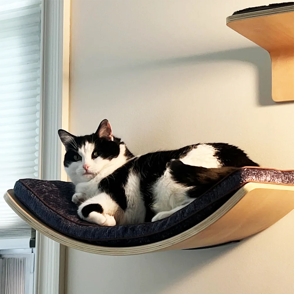 Wall-Mounted Cat Ledge & Steps