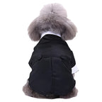 Formal Tuxedo Pet Costume