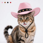 Cowboy Hat Pet Costume