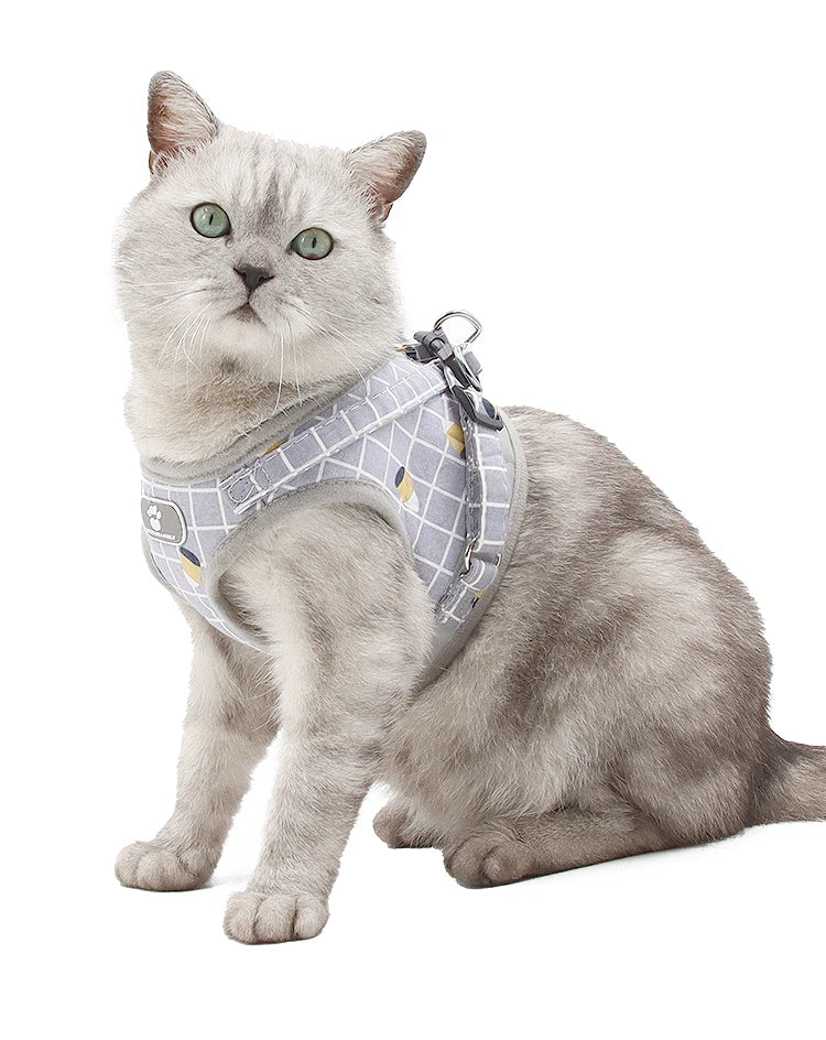 Plaid Small Dog Harness & Leash