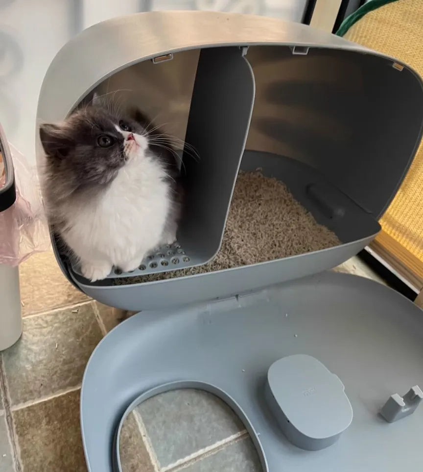 Fully Enclosed Self-Cleaning Litter Box