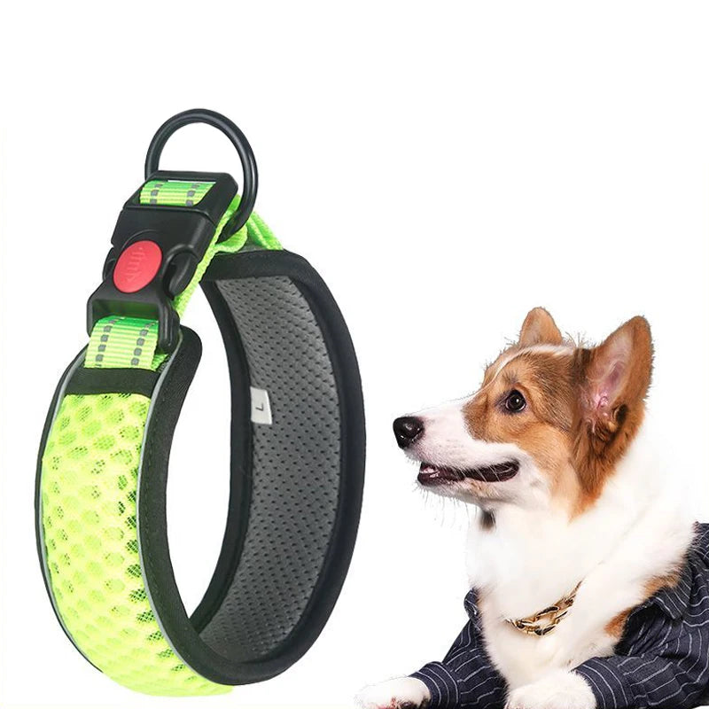 Reflective Padded Dog Collar