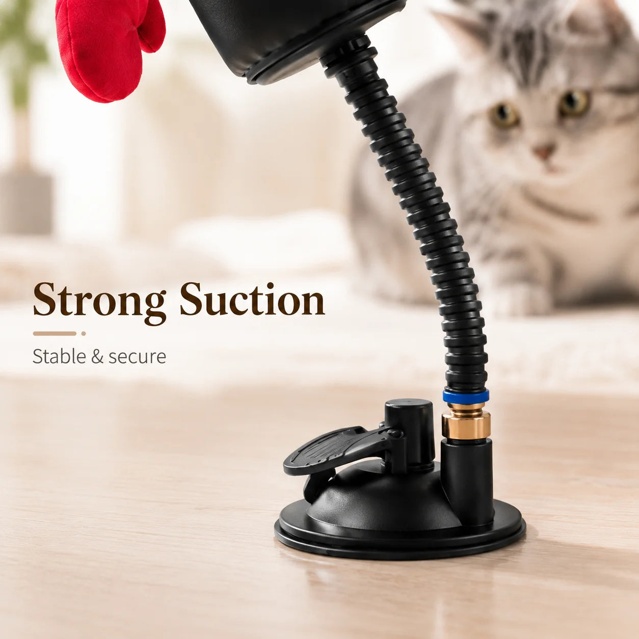 Interactive Cat Boxing Toy