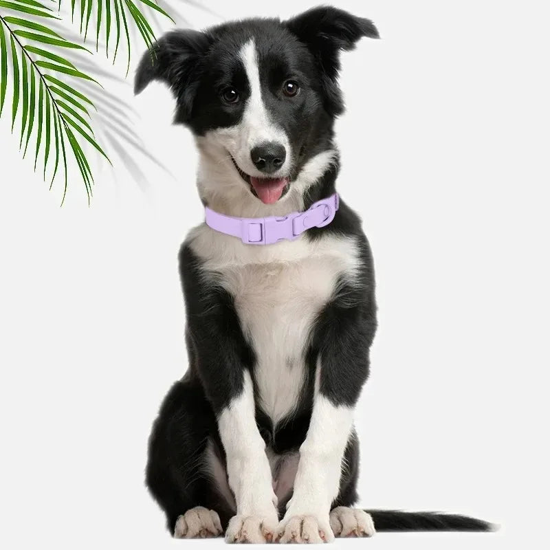 Macaron Color Waterproof Dog Collar