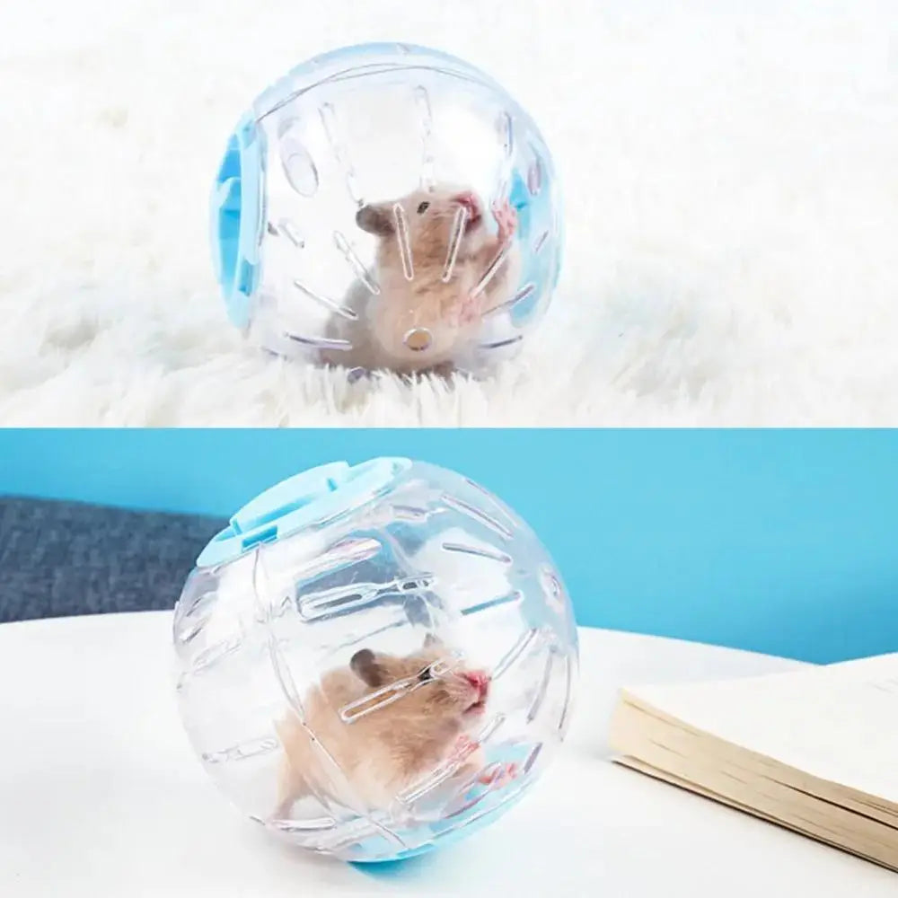 Small Pet Exercise Ball