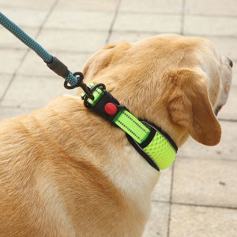 Reflective Padded Dog Collar