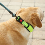 Reflective Padded Dog Collar