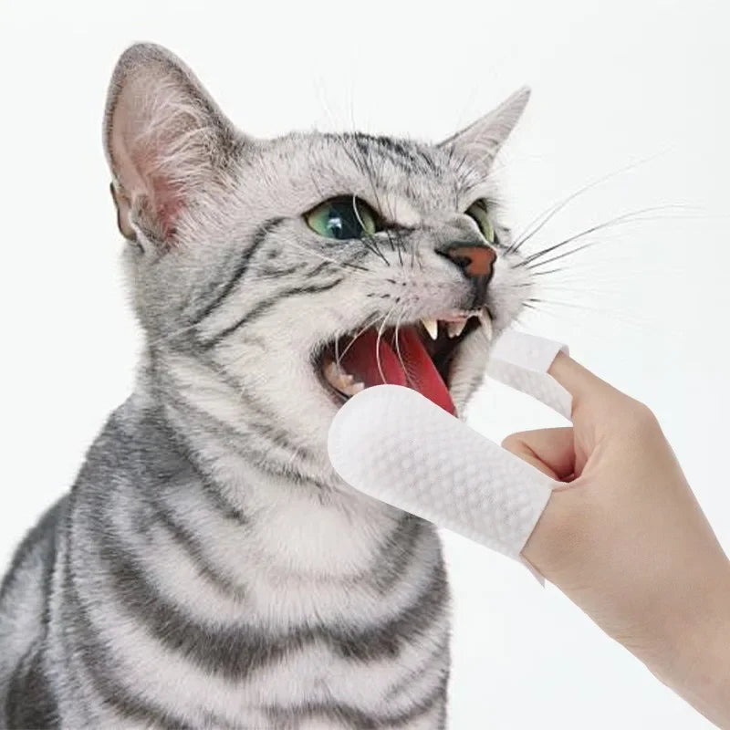 Disposable Pet Dental Finger Wipes