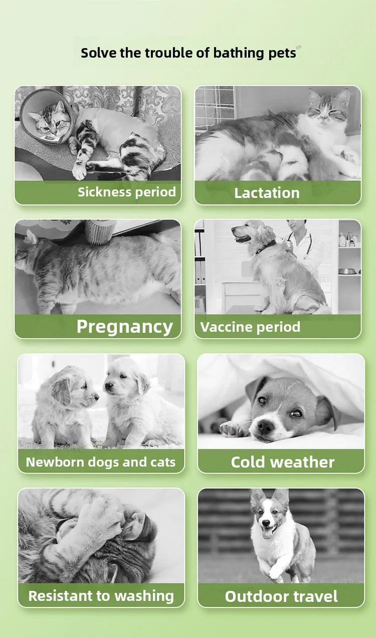 Leave-In Pet Cleaning Wipes