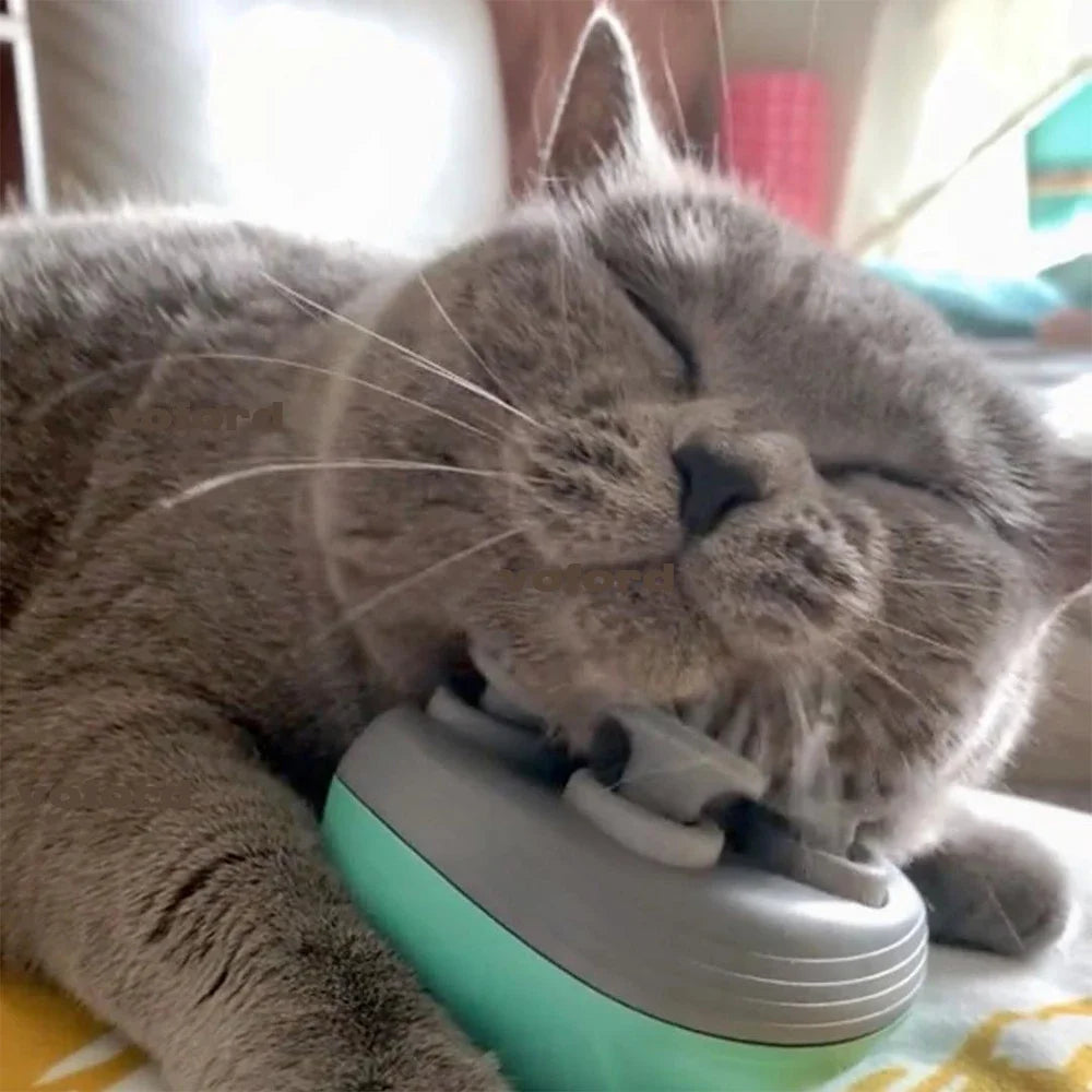 Electric Cat Head Massager