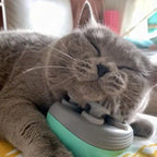 Electric Cat Head Massager