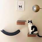 Wall-Mounted Cat Ledge & Steps
