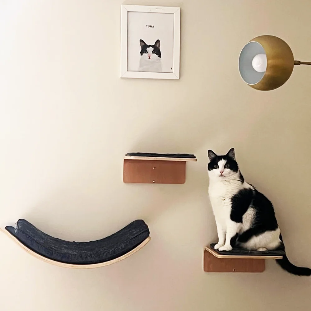 Wall-Mounted Cat Ledge & Steps
