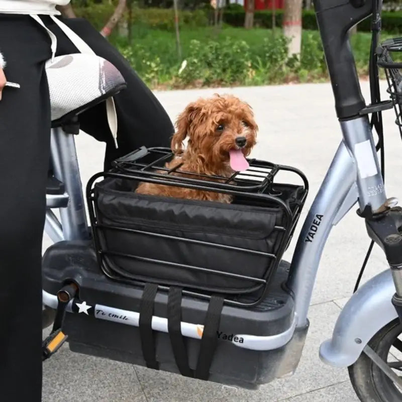2-in-1 Dog Bike Basket Carrier