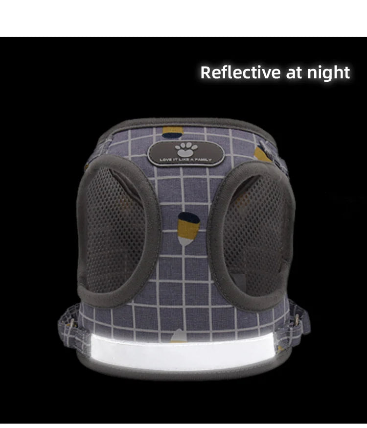 Plaid Small Dog Harness & Leash