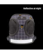 Plaid Small Dog Harness & Leash