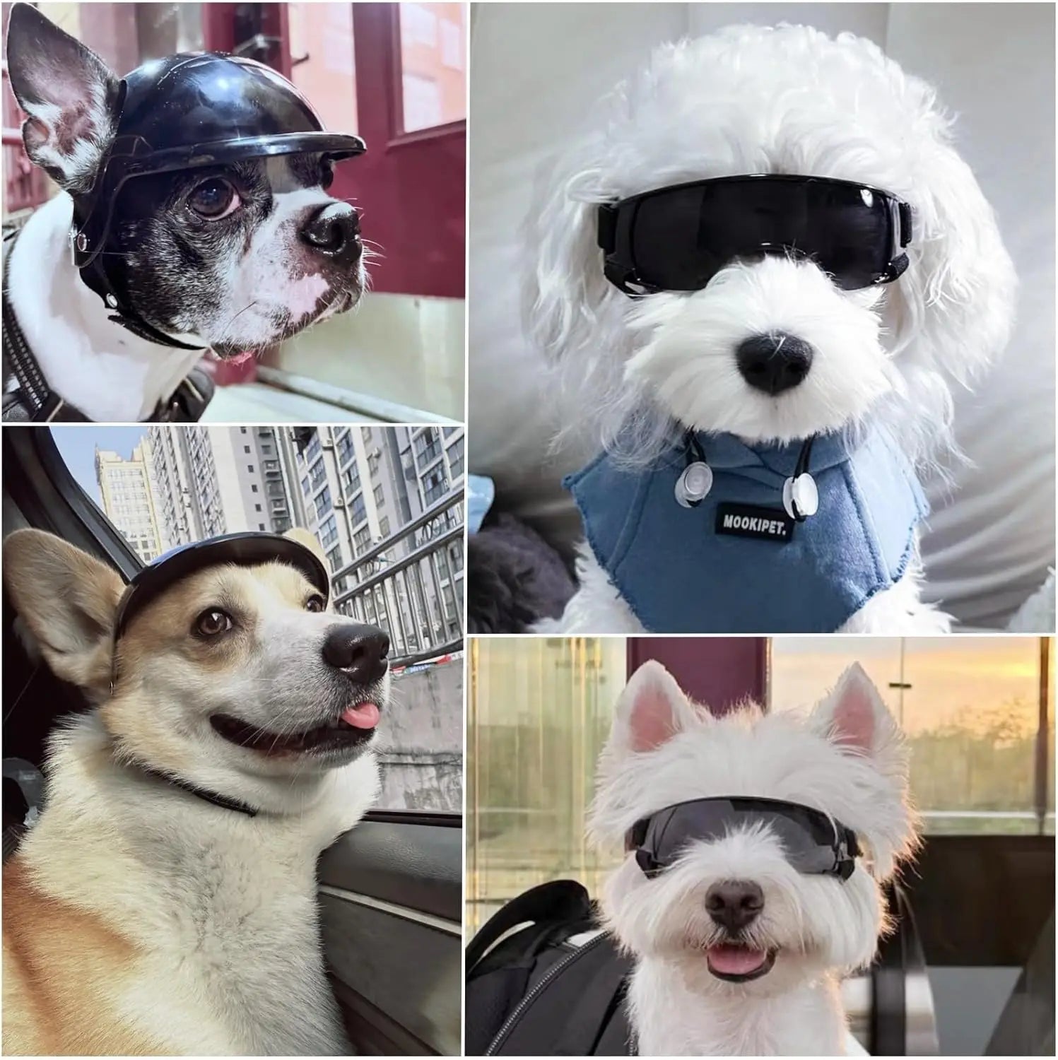 Motorcycle Style Pet Helmet & Glasses