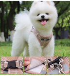 Plaid Small Dog Harness & Leash