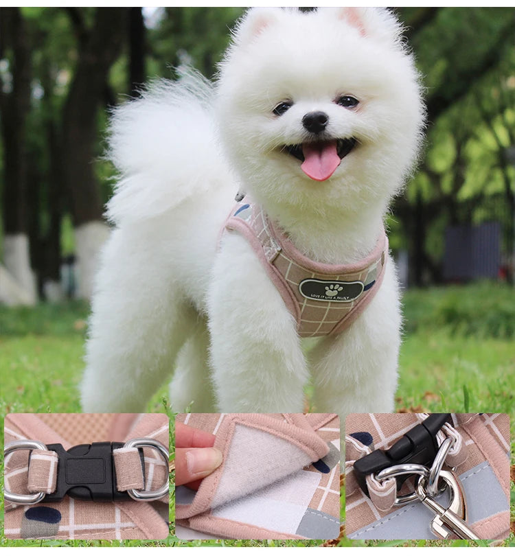 Plaid Small Dog Harness & Leash