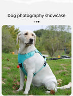 Anti-Pull Reflective Dog Harness