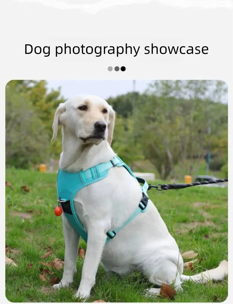 Anti-Pull Reflective Dog Harness
