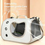 Foldable Pet Travel Carrier Bag