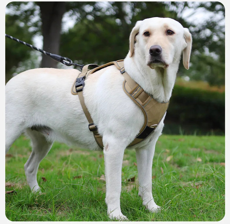 Anti-Pull Reflective Dog Harness