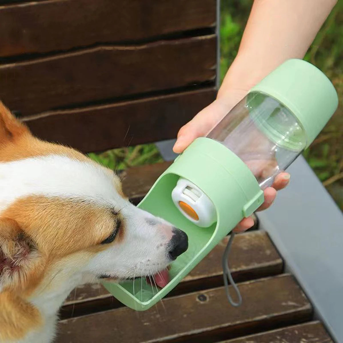 2-in-1 Dog Travel Water Bottle