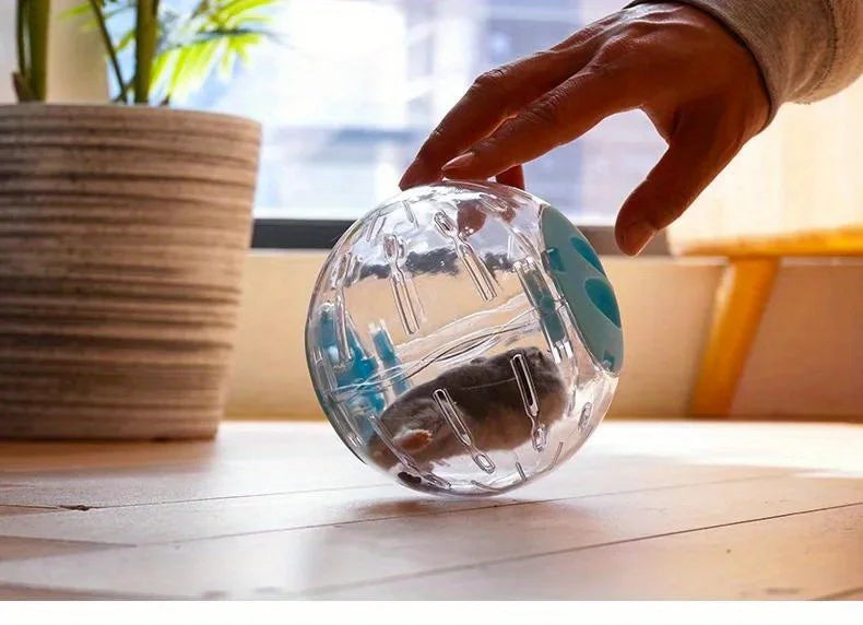 Small Pet Exercise Ball