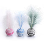 Feather Ball Cat Toy Set