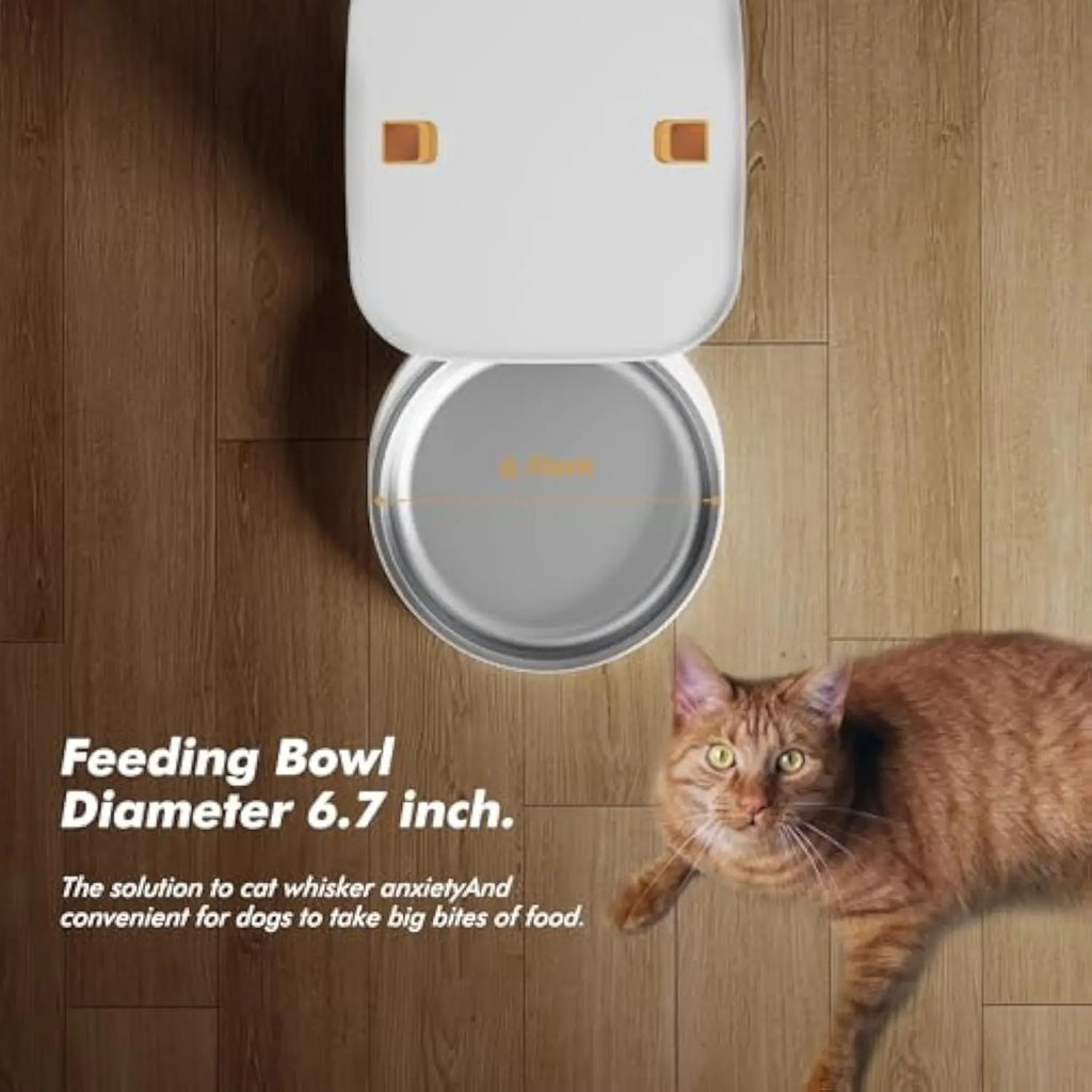 Smart WiFi Cat Feeder with Camera