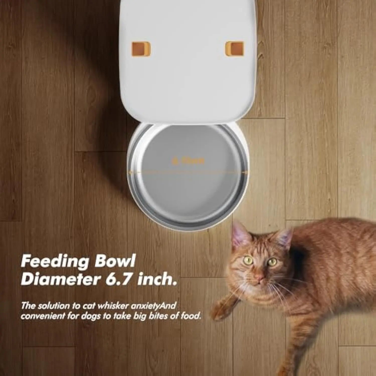 Smart WiFi Cat Feeder with Camera