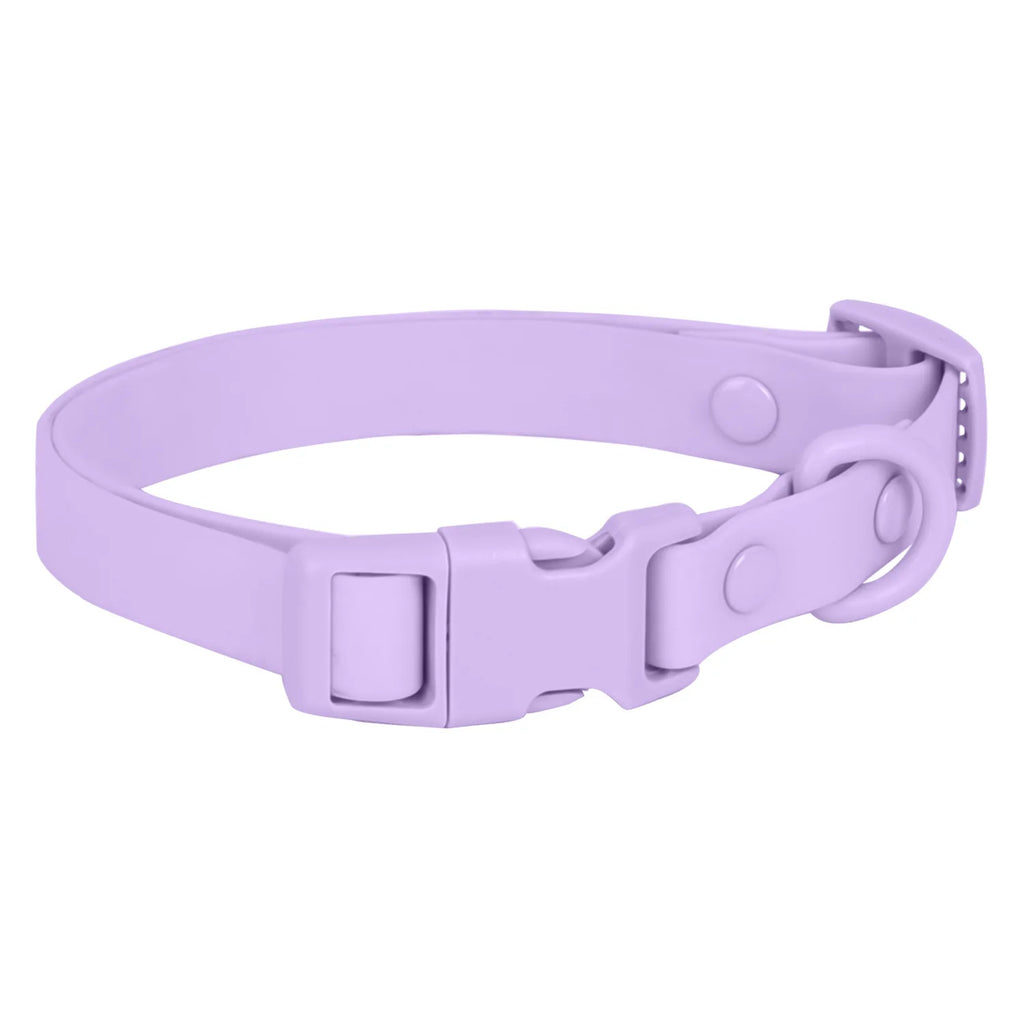 Macaron Color Waterproof Dog Collar