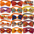 Turkey Bow Tie Pet Accessory (50pk)