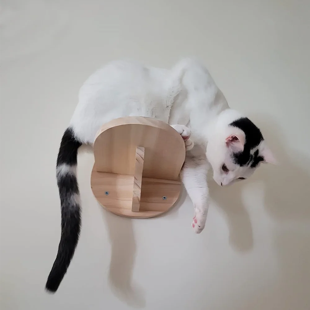 Modern Hardwood Cat Wall Shelf