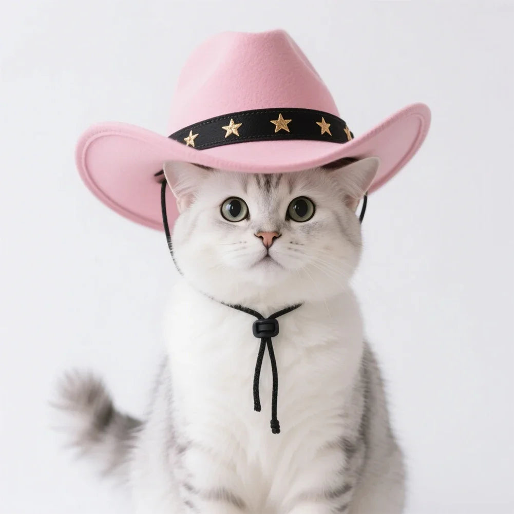 Cowboy Hat Pet Costume