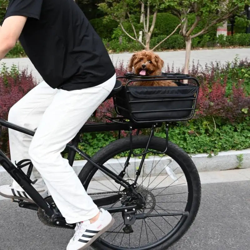 2-in-1 Dog Bike Basket Carrier