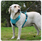 Anti-Pull Reflective Dog Harness