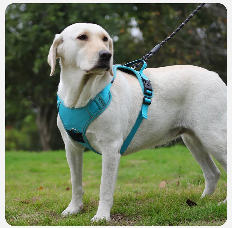 Anti-Pull Reflective Dog Harness