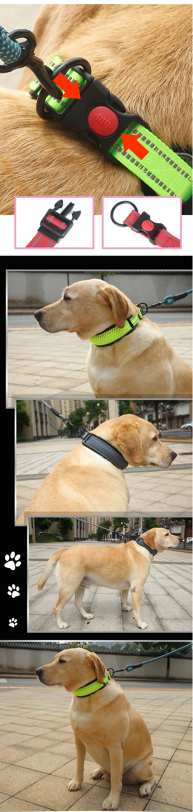 Reflective Padded Dog Collar