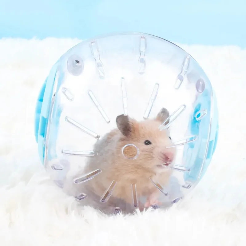 Small Pet Exercise Ball