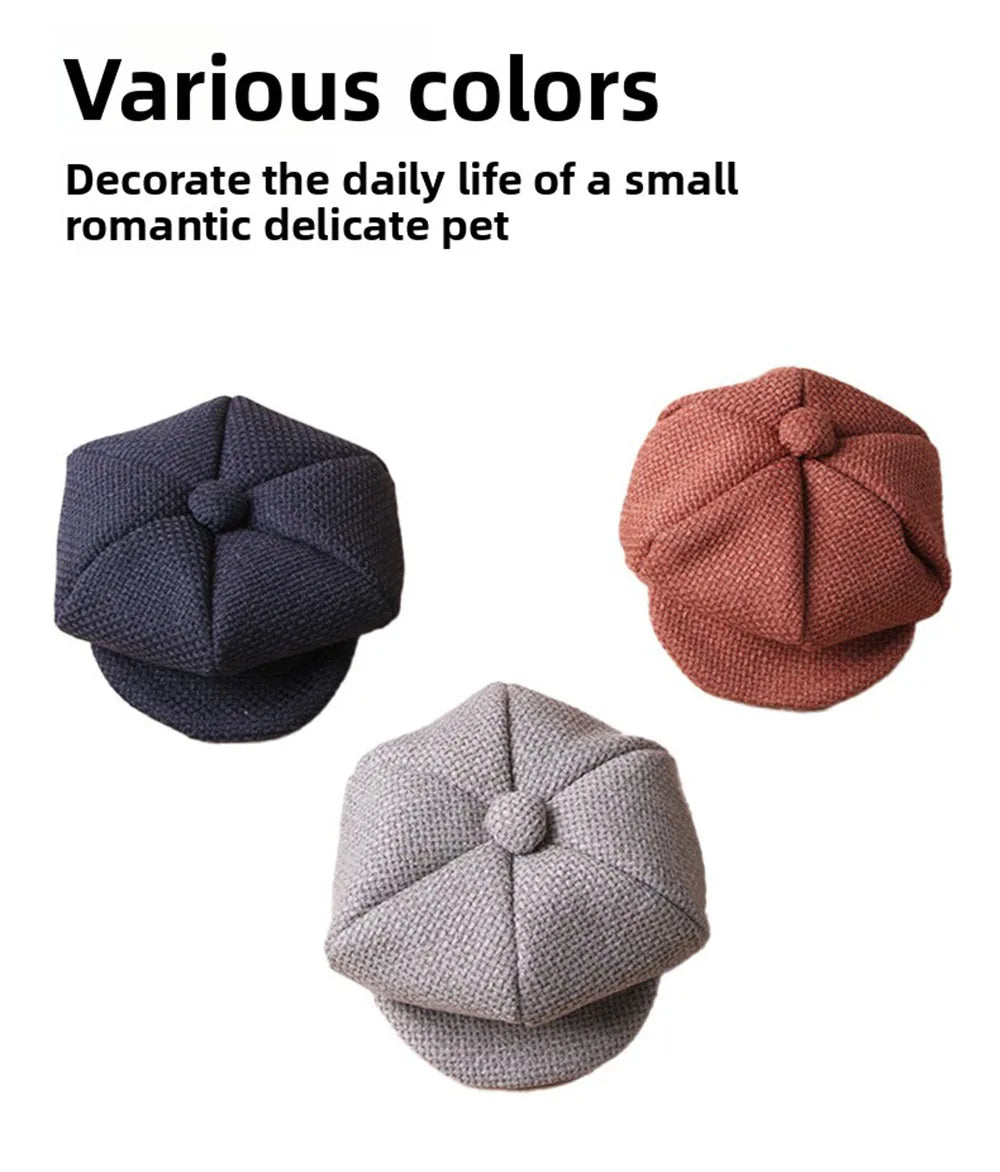 Retro Beret Pet Hat