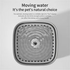 3L Auto-Circulating Cat Water Fountain
