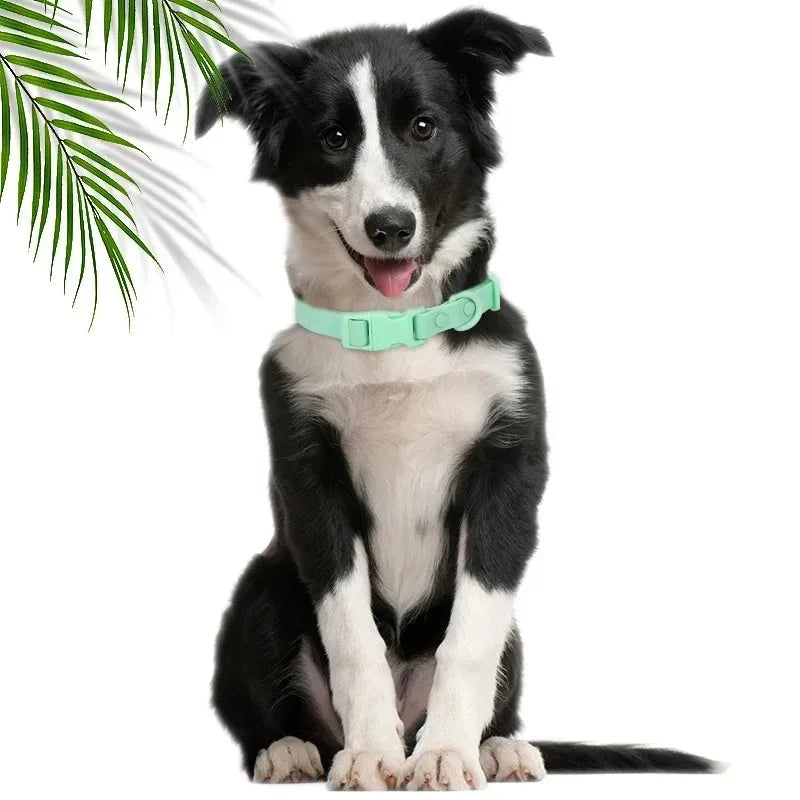 Macaron Color Waterproof Dog Collar