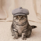Retro Beret Pet Hat