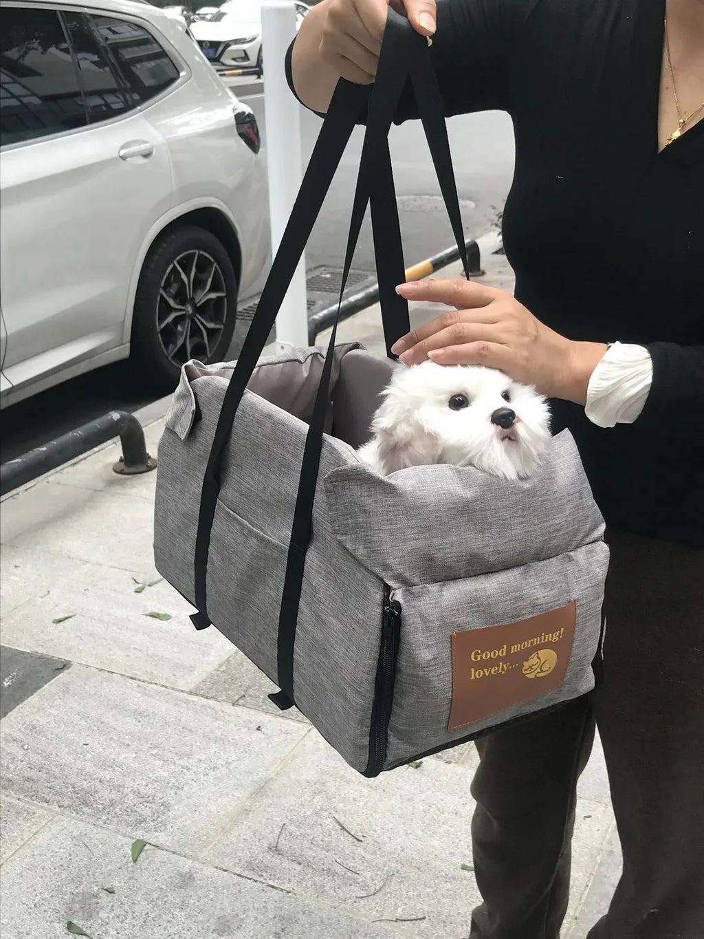 Pet Car Seat Safety Carrier