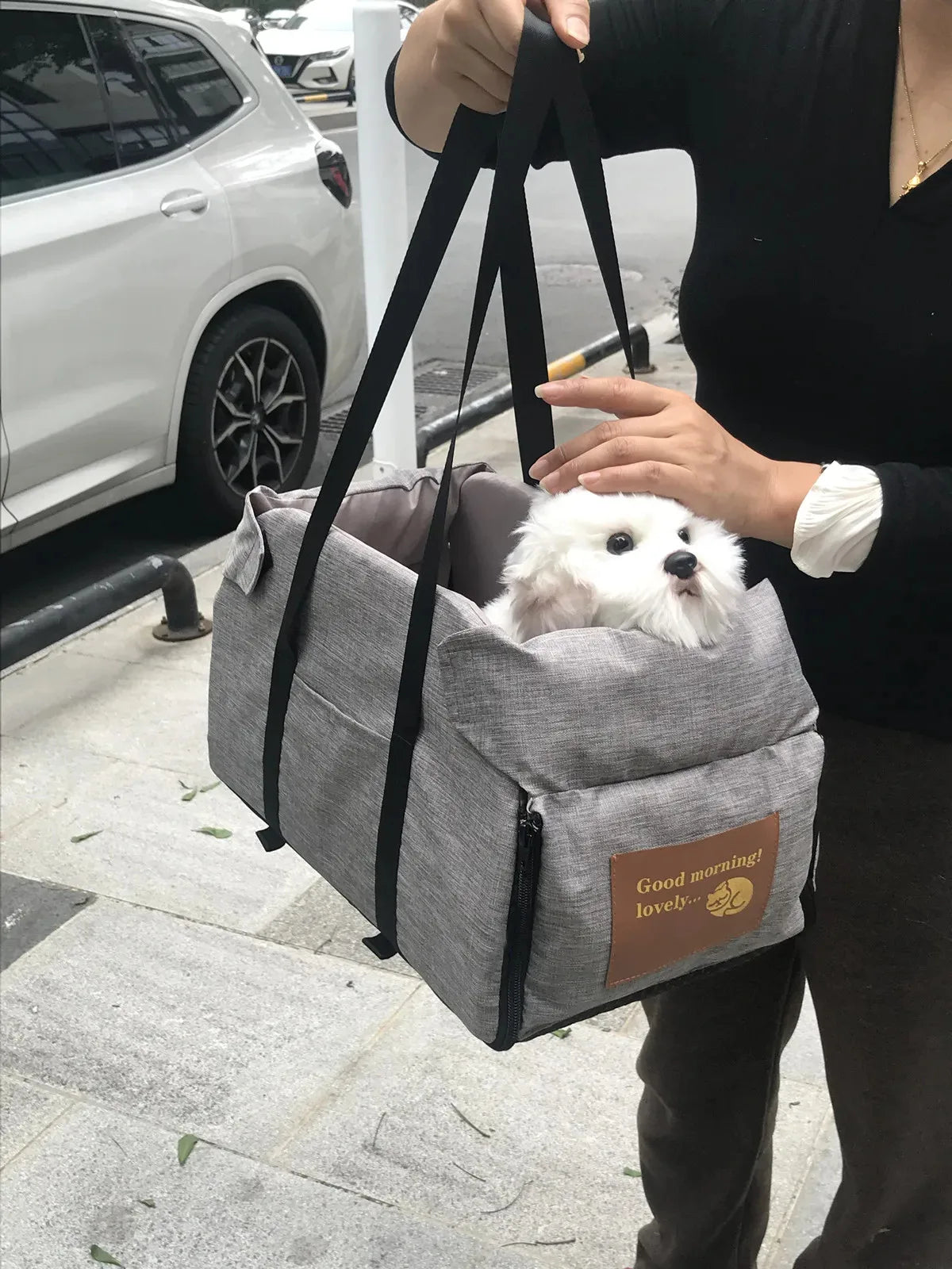 Pet Car Seat Safety Carrier