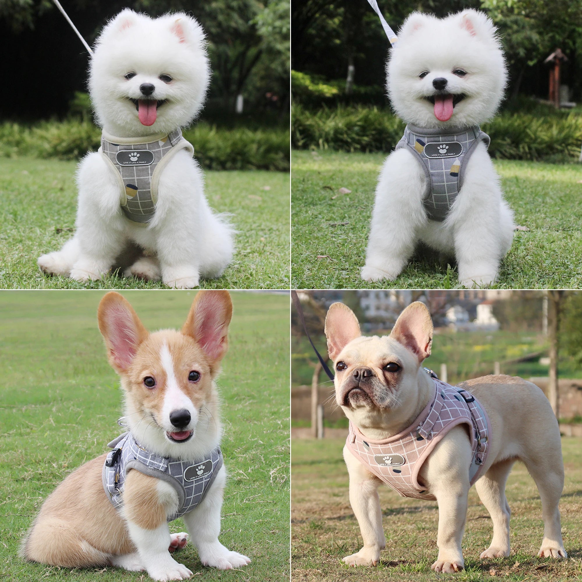 Plaid Small Dog Harness & Leash