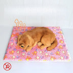 Self-Warming Thermal Pet Mat